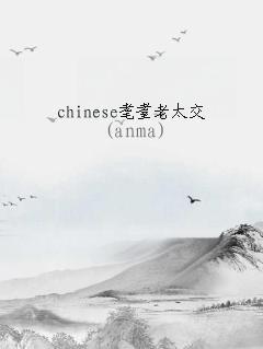 chinese̫